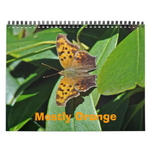 Calendar - Mostly Orange