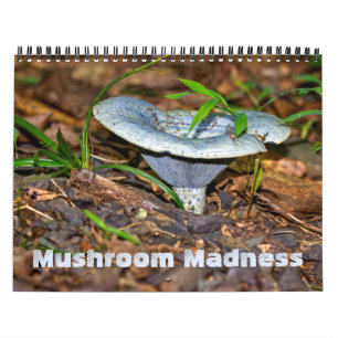 Calendar ~ Mushroom Madness