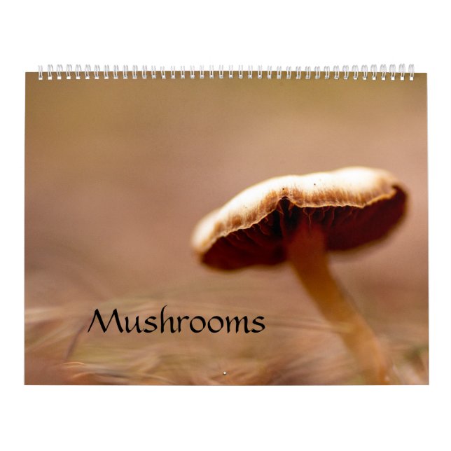 Calendar: Mushrooms, Schrooms, Fungi Calendar (Cover)
