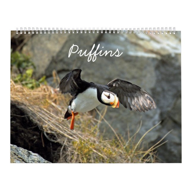 Calendar of puffins (Cover)
