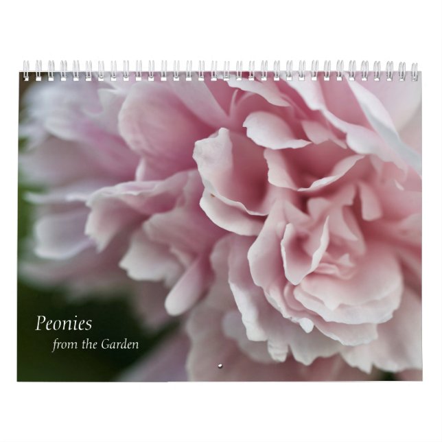 Calendar Peonies (Cover)