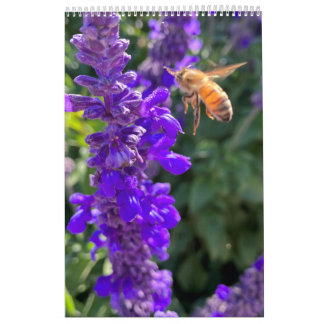 Calendar Pollinators: Bees and Butterflies