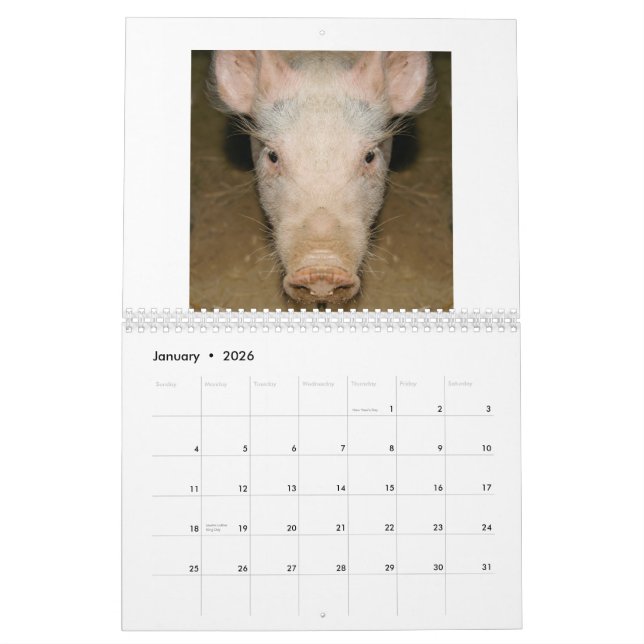 Calendar Promo (Jan 2026)