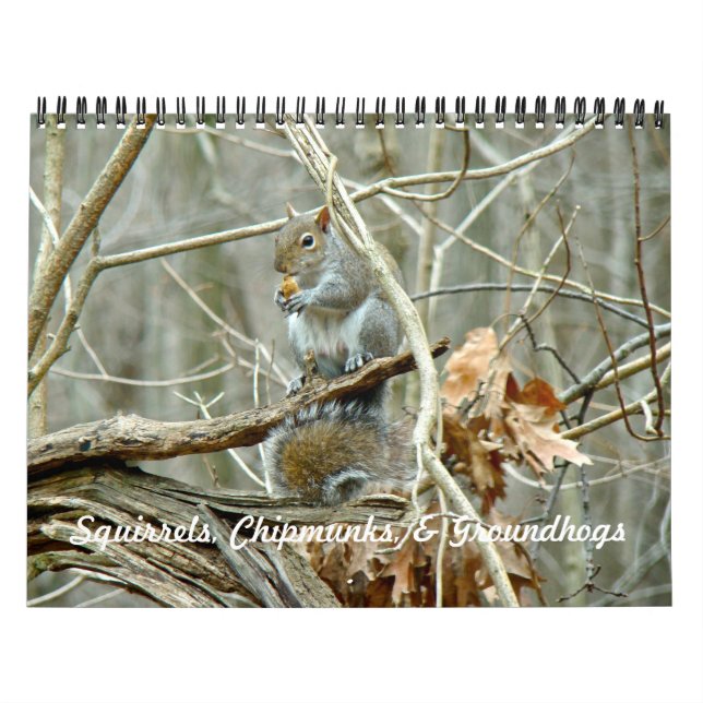 Calendar - Squirrels Chipmunks Groundhogs (Cover)