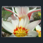 CALENDAR TULIPS Calendars Tulip Flowers<br><div class="desc">CALENDARS Change Dates, Change the date to start on any Year and Month. TULIPS Calendars, Tulip Flowers Calendar, Gift Calendars, Christmas Gifts, OFFICE ART, Corporate Client Git Calendars, Artwork Calendars, Yellow Tulips, Red Tulips, Pink Tulip Flowers, Orange Tulips calendar, Peach Orange Irises, White Iris. Botanical Floral Flower Garden Landscapes. BASLEE...</div>