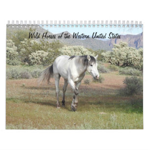 Calendar, Wild Horses of the Western United States Calendar