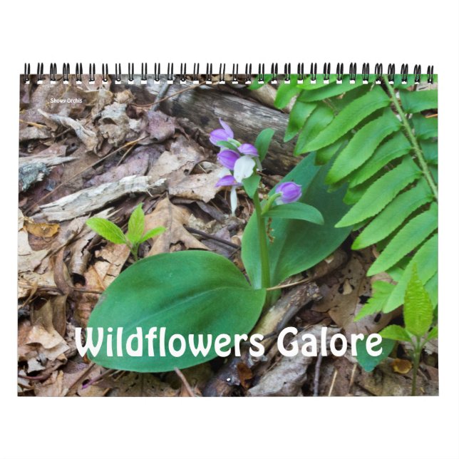Calendar ~ Wildflowers Galore (Cover)