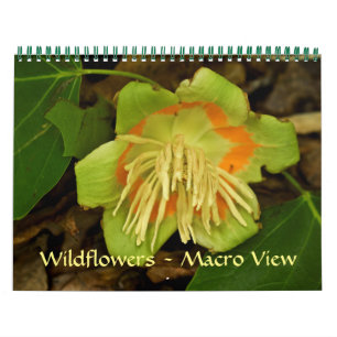 Calendar - Wildflowers - Macro View