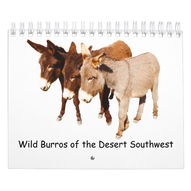 Calendar, wildlife, wild burros, donkeys calendar (Cover)