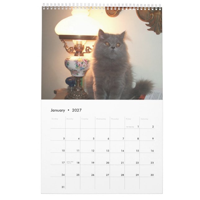 Calendar with cats - Customised (Jan 2027)