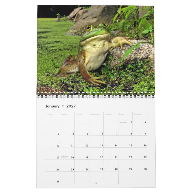 Calendar with pond frogs (Jan 2027)