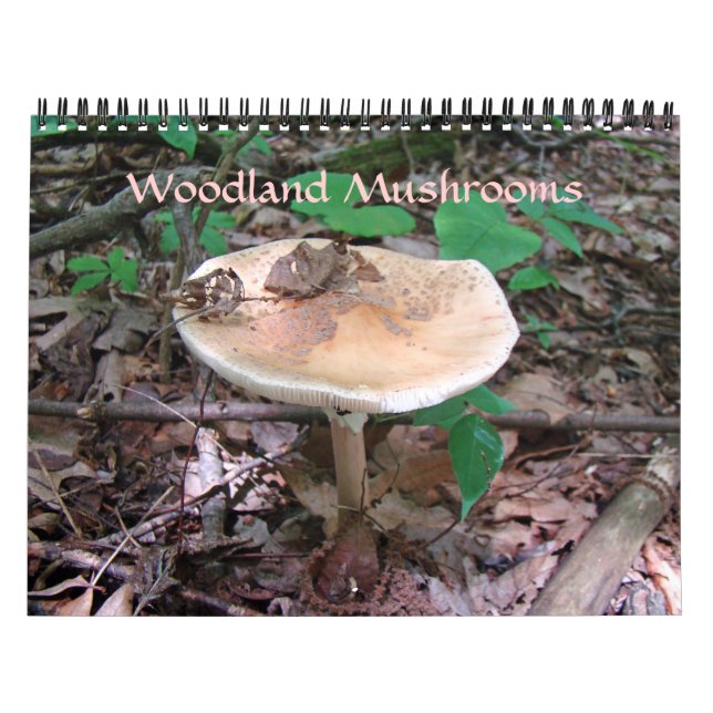 Calendar - Woodland Mushrooms (Cover)