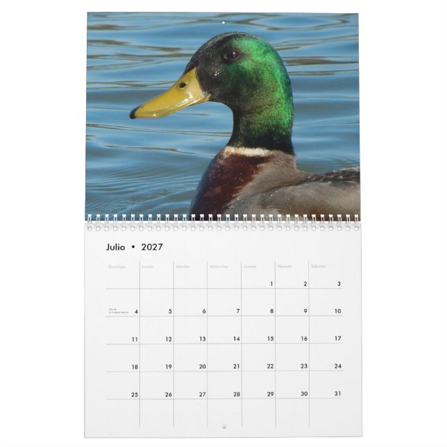 Calendario con fotos de patos y gansos en colour calendar (Jul 2027)