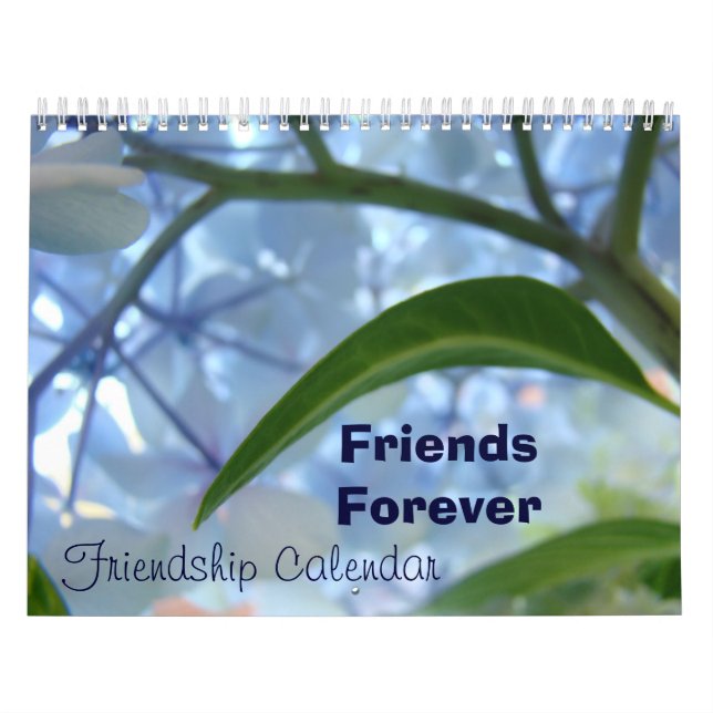Calendars Start any Month Friends Forever Friend (Cover)