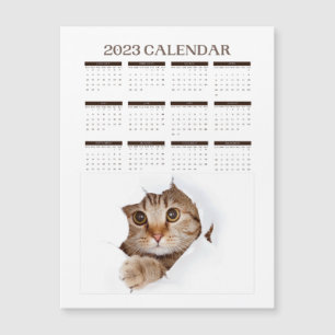 CALENDRIER 2023 MIGNON CHAT