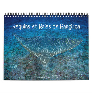 Calendrier des Requins et des Raies カレンダ Calendar