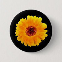 Calendula Officinalis Badge