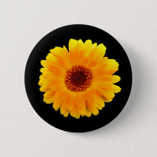 Calendula Officinalis Badge