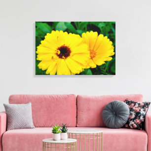 Calendula Officinalis Canvas Print