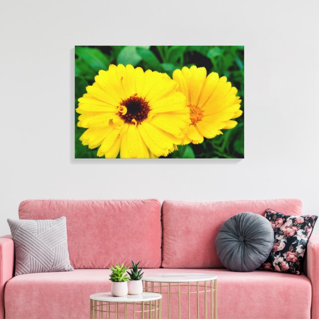 Calendula Officinalis Canvas Print (Insitu(LivingRoom))