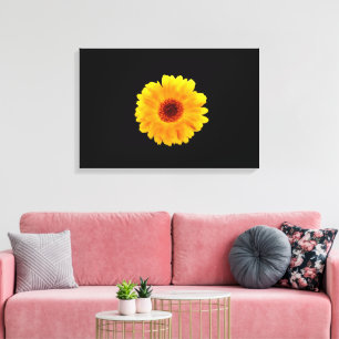 Calendula Officinalis Canvas Print