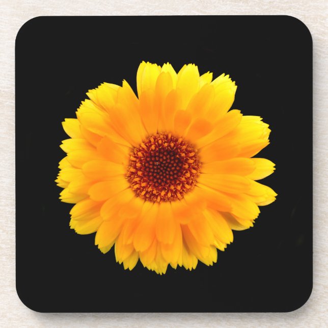 Calendula Officinalis Coaster (Front)