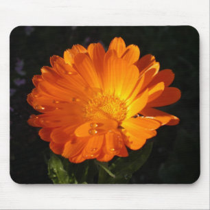 Calendula officinalis mouse pad