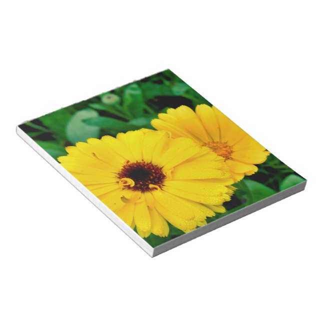 Calendula Officinalis Notepad (Angled)