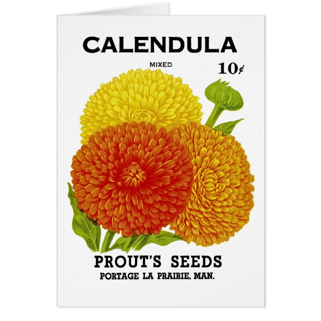 Calendula Vintage Seed Packet (Front)