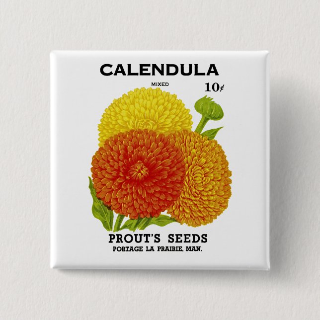 Calendula Vintage Seed Packet 15 Cm Square Badge (Front)
