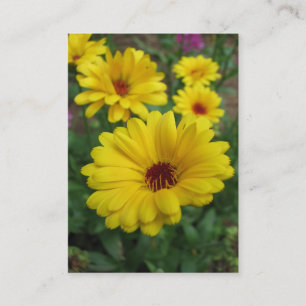 Calendulas ATC Business Card