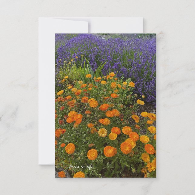 Calendulas & Lavender Card (Front)