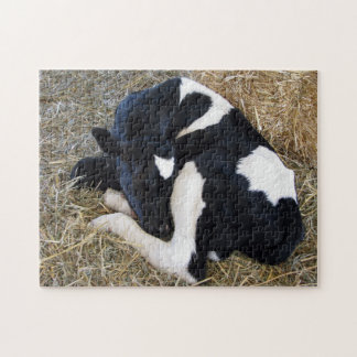 calf 11 x 14 photo puzzle