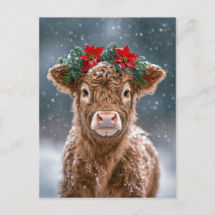 Calf in Snow with Poinsettia Wreath Postcard