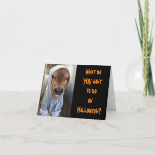 CALF IS READY FOR HALLOWEEN CARD