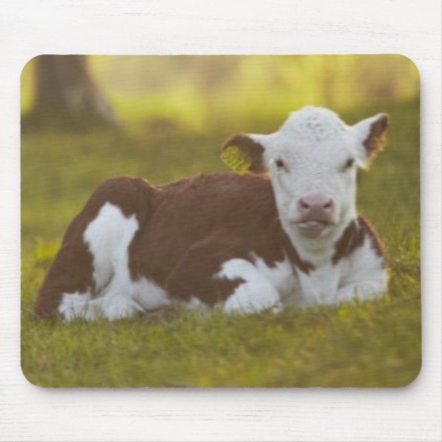 Calf Resting Mouse Pad (Front)