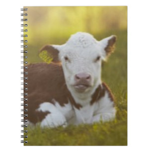 Calf Resting Notebook