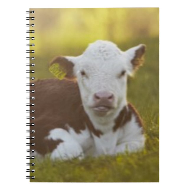 Calf Resting Notebook (Front)