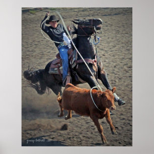 Calf Roper Poster