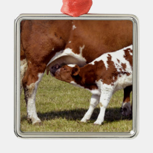 Calf suckling metal tree decoration