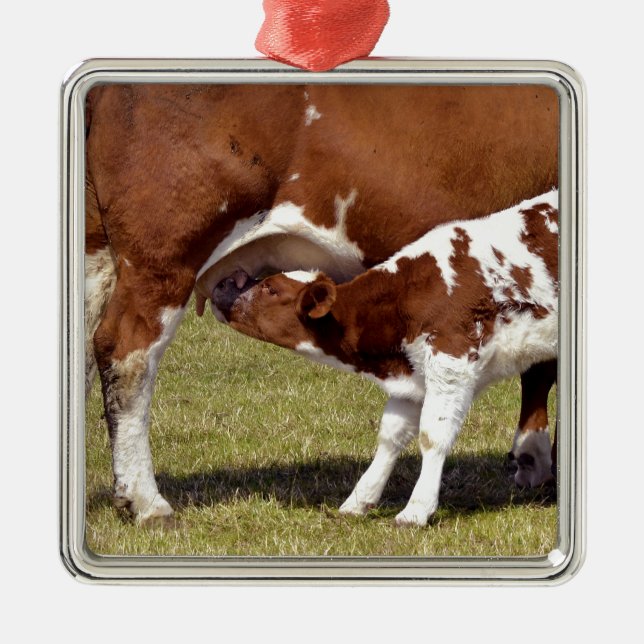 Calf suckling metal tree decoration (Front)