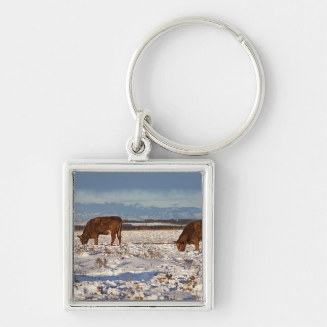 calgary, alberta, canada 2 key ring (Front)