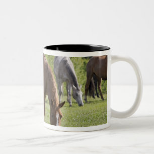 Calgary, Alberta, Canada 2 Two-Tone Coffee Mug