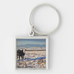 calgary, alberta, canada key ring