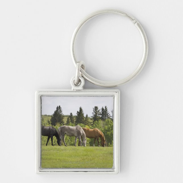 Calgary, Alberta, Canada Key Ring (Front)