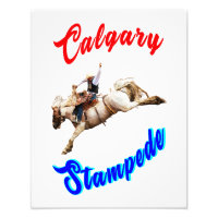 Calgary Canada Horses July Riders Calgary Stampede