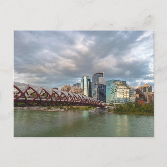 Calgary Cityscape and the Peace Bridge Postcard (Front)