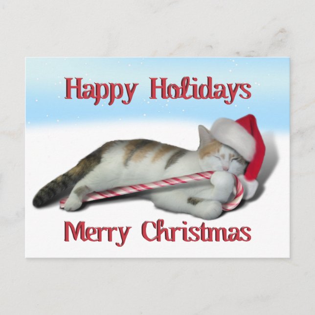Cali, the Candy Cane Kitty Postcard (Front)