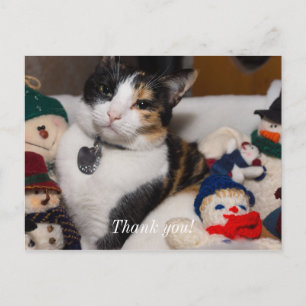 Calico And Snowmen Postcard