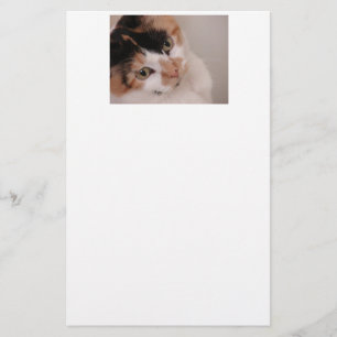 Calico Beauty Cat Stationery